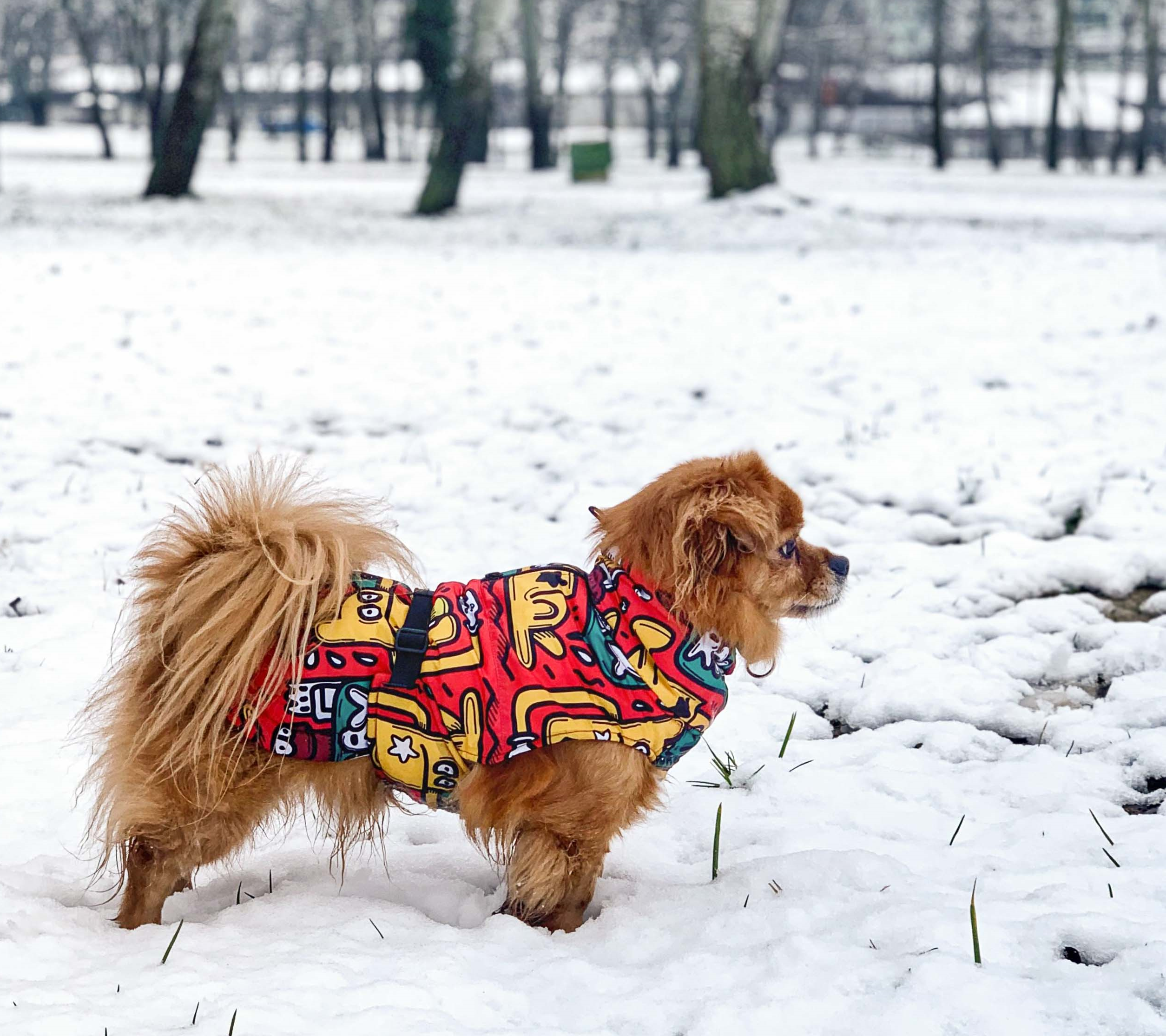 13th Dog Jakna za pse Doodle, 33cm Online prodaja Ananas