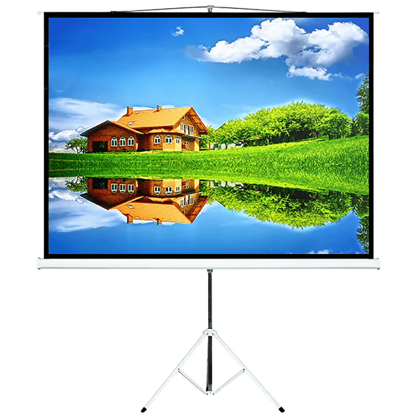 MACLEAN Platno za projektor sa stalkom MC-536, 145x110cm