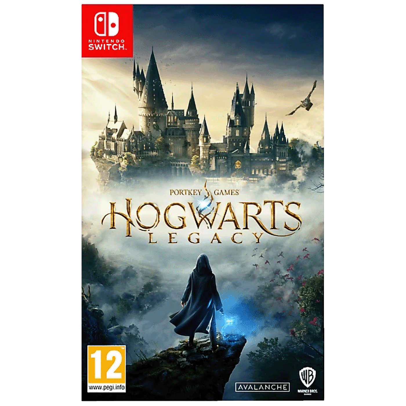 WARNER BROS Igra za Nintendo Switch Hogwarts Legacy