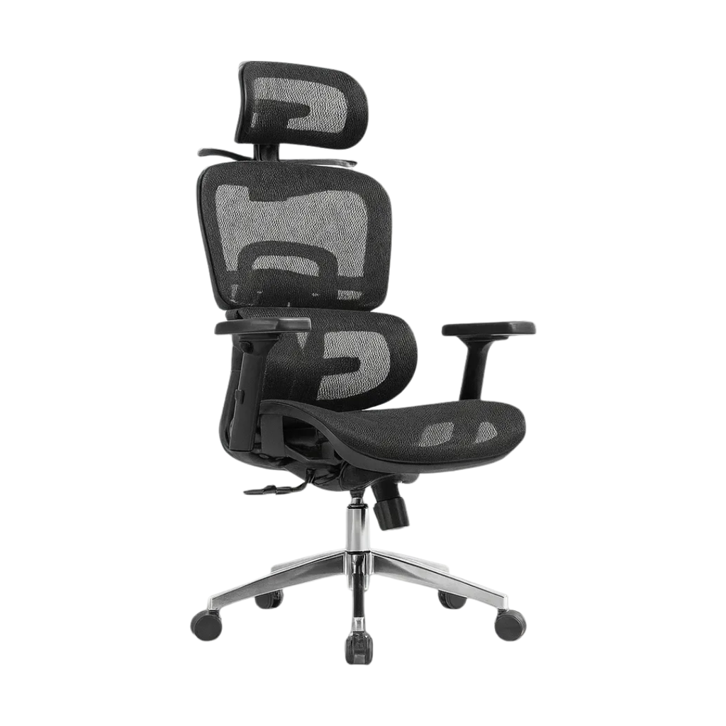 Giga Kancelarijska ergonomska stolica Ergion, Crna