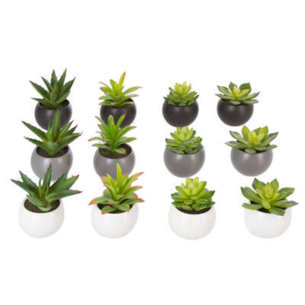 ATMOSPHERA Set cvjeća u saksiji 13x12x13.5cm