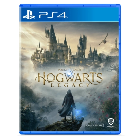 Sony Igrica Hogwarts Legacy /PS4, Šarena