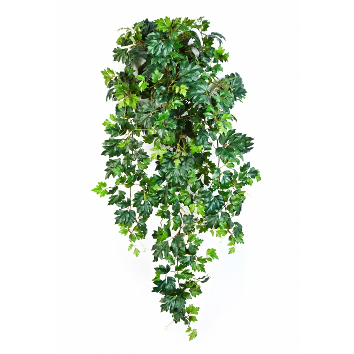 FLORA WORLD Veštački viseći žbun Grape Ivy Online prodaja Ananas