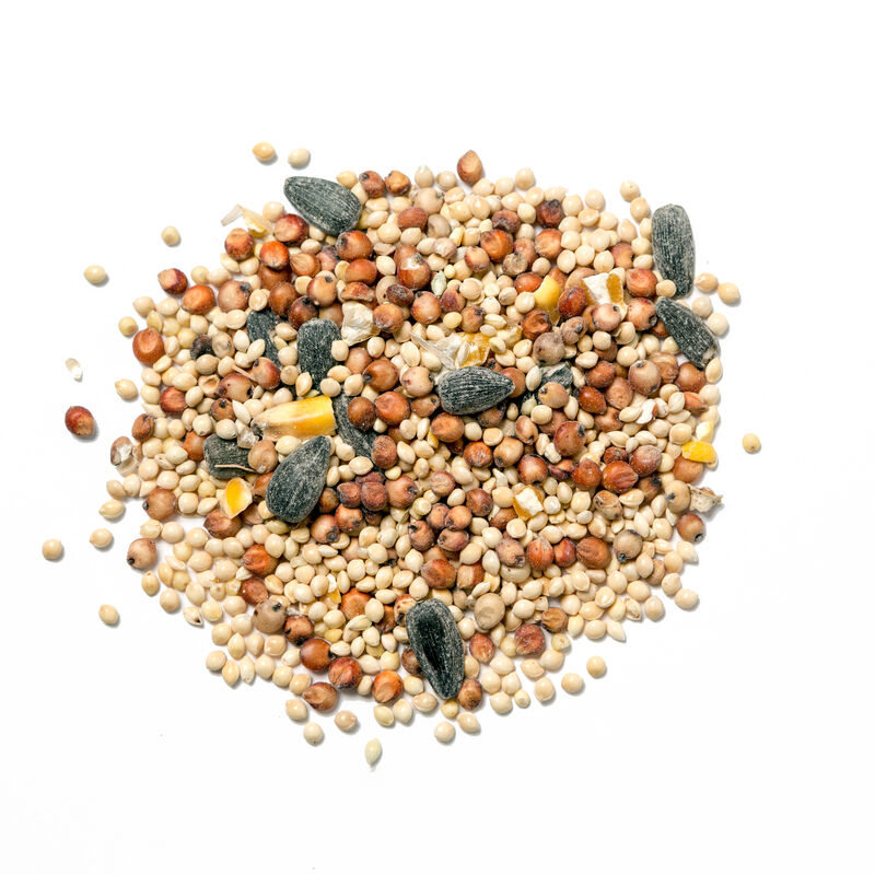 Hrana za ptice Prodaja i cena hrane za ptice Ananas