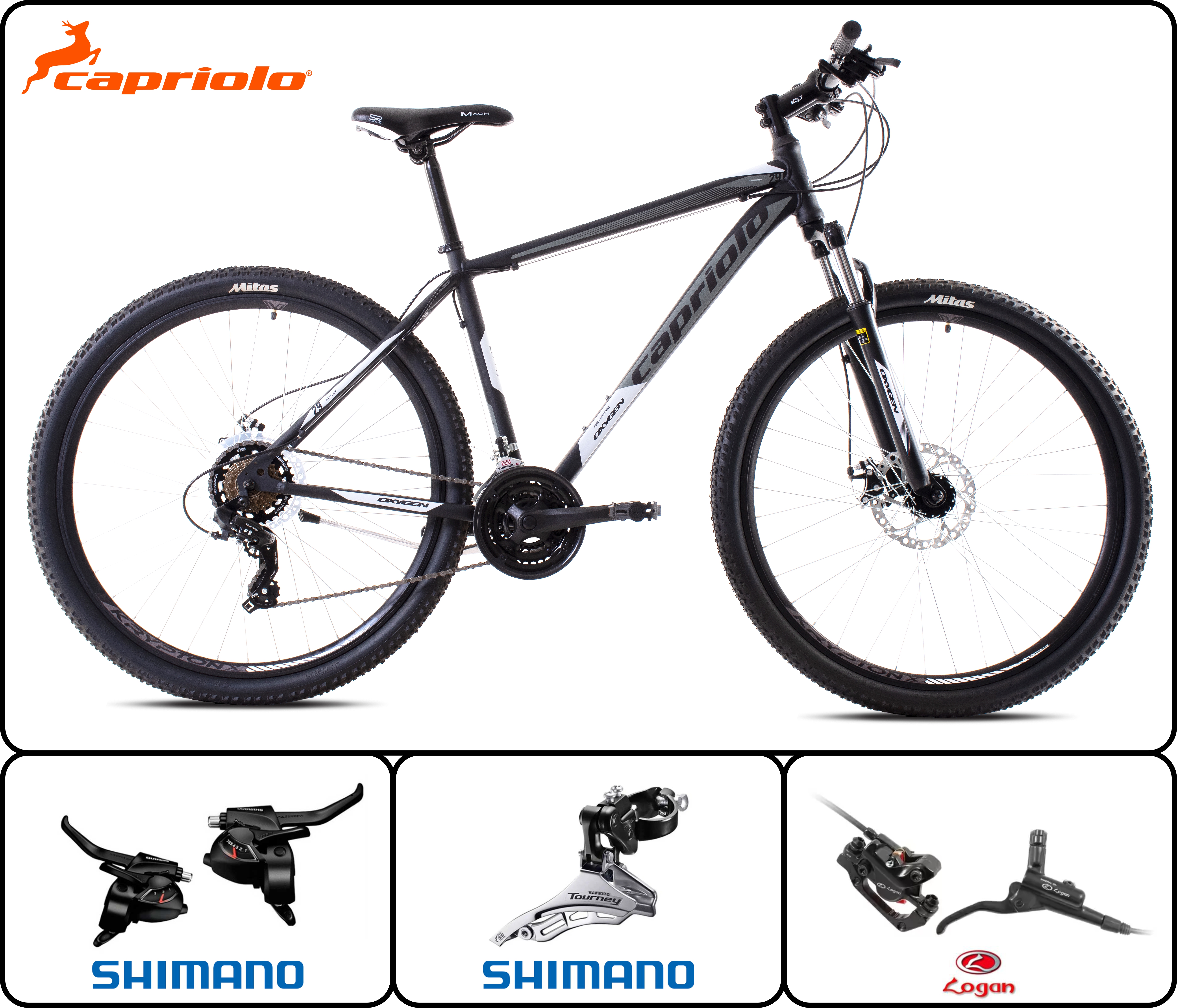 Bicycle Capriolo Oxygen 29 CAPRIOLO Машки Велосипед OXYGEN 21